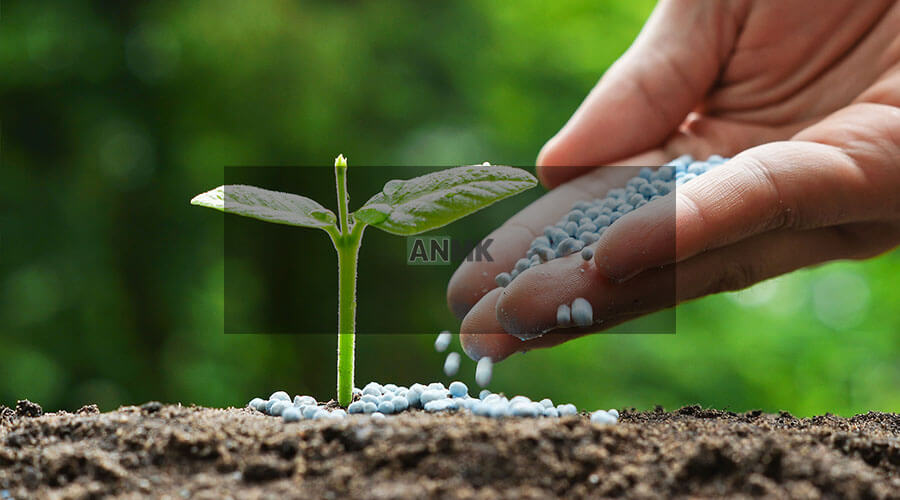 solid fertilizers from egypt